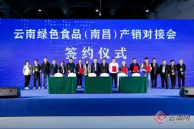 “绿色云品”亮相第十五届中国绿色食品博览会 产销对接会现场签约额超8000万元图片