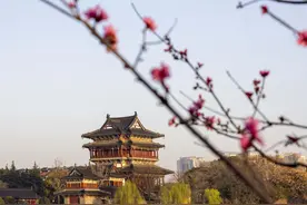 泰州泰美泰想你来，跟着“苏超”游泰州：景区免费早茶免费图片