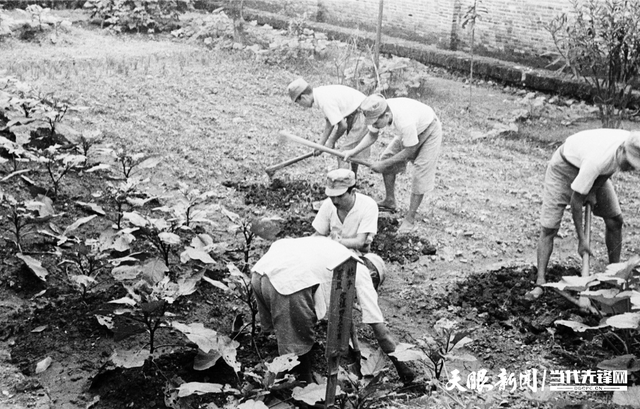 镇远和平村：烽火岁月的和平见证