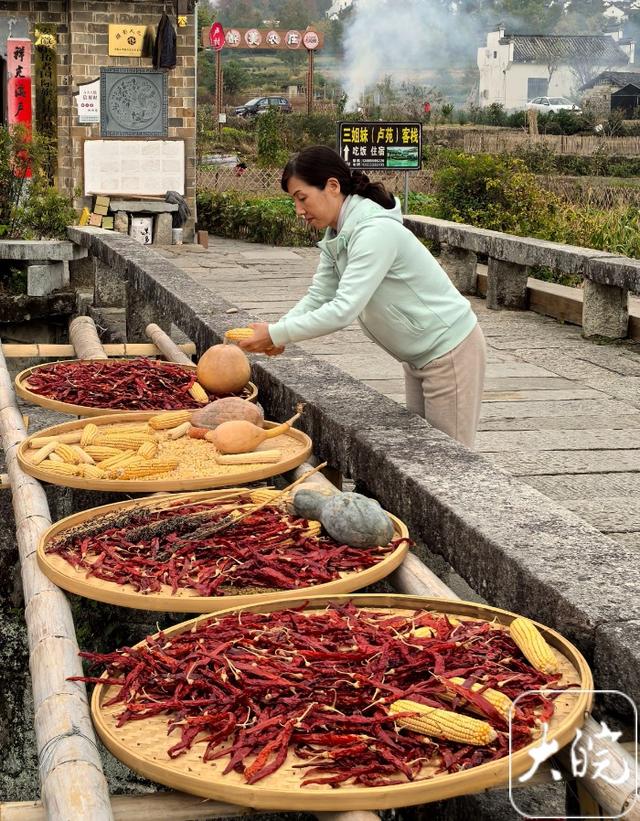 黟县：卢村秋色引客来