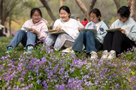 清明时节，河北各地踏春忙图片