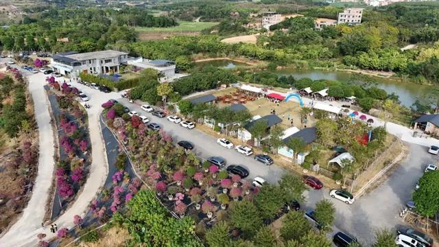 十里花卉长廊亲子游线路：邂逅自然与书香的奇妙之旅