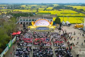 十张“金色名片” 点亮荆楚春天 2025年湖北油菜花节开幕图片