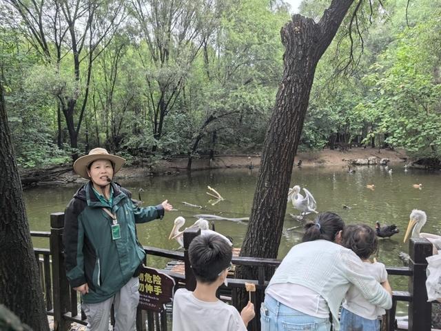 济南野生动物世界迎来客流高峰，用心服务让每位游客游玩舒心