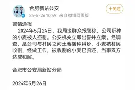 合肥几十亩小麦不翼而飞 警方通报：系土地播种纠纷图片