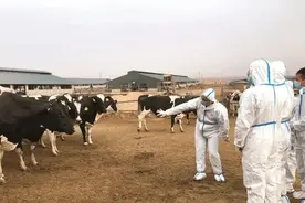 是什么吸引6.1万名青年才俊留银就业创业？事业留人 情感留人 环境留人图片