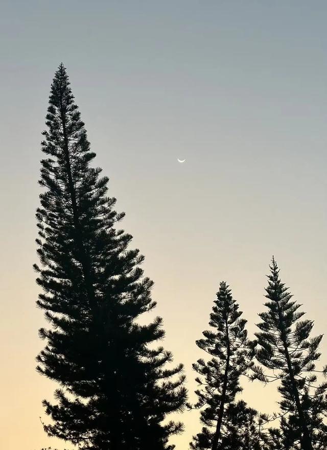 深圳经济特区，45岁生日快乐！