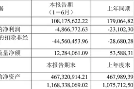星光农机：2023年上半年亏损486.68万元图片