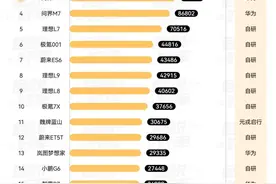 抓住爆款密码，高阶智驾别被短期市占率迷住眼图片