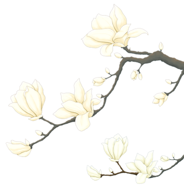 重磅预告丨首届“珠峰·申情”购物节11月8日起登陆上海杨浦！日喀则「高原好物」一站集结