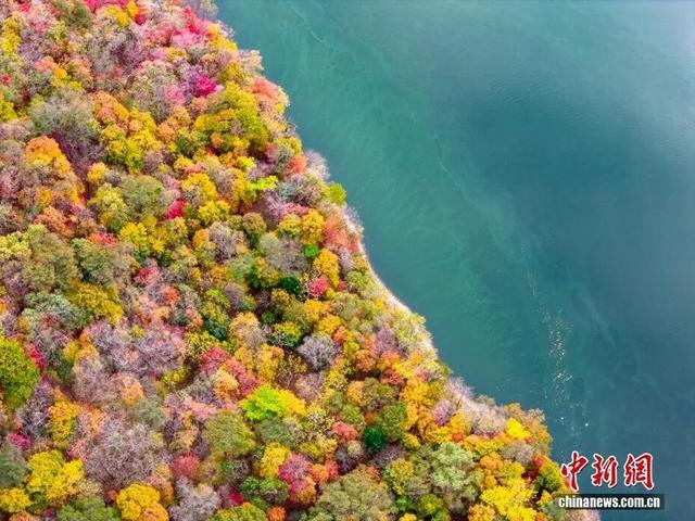 央媒看白山 | 中国新闻网：吉林白山 秋染白山湖风景区 彩林宛如大自然的调色盘