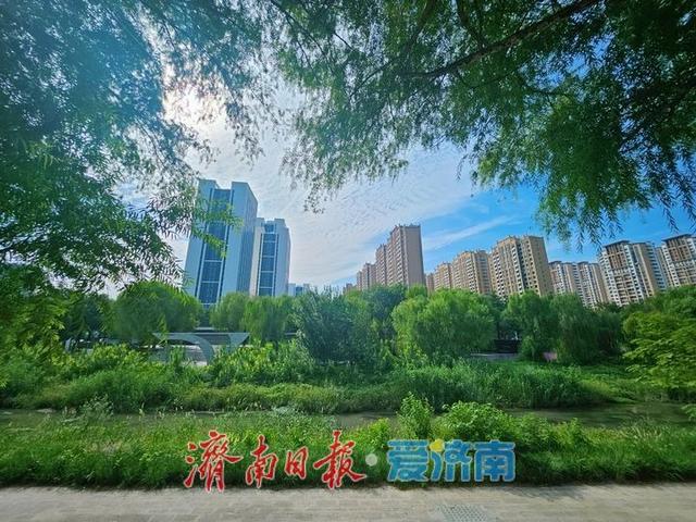 一年四季 泉在济南丨腊山河畔满目翠绿 宛如“绿野仙踪”