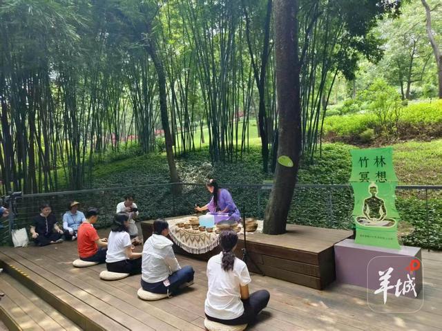 “云山叠翠”杯大学生征文活动开启！快来分享你和白云山的故事