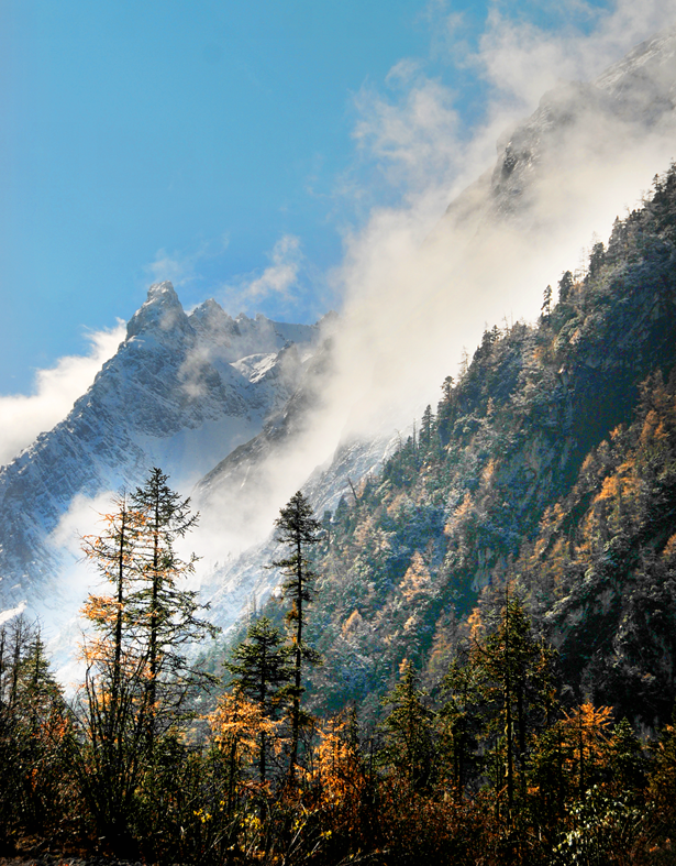 青睐绵阳 ‖ 雪山彩林上线！去平武王朗赴一场金秋视觉盛宴~