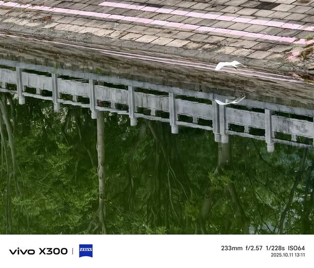 完美小屏影像旗舰！vivo X300手机评测：随手一拍就有德味 高阶技巧信手拈来