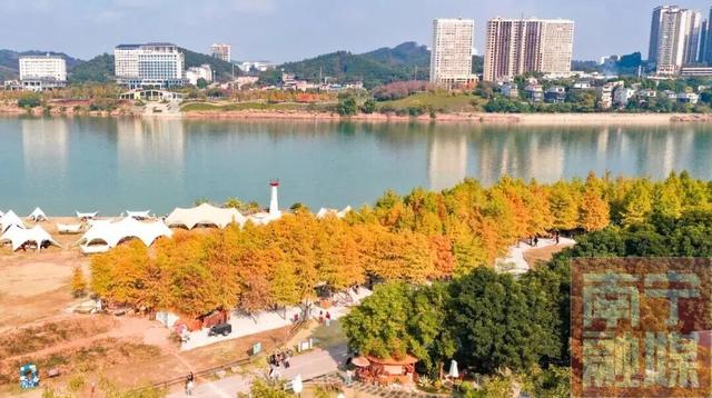 氛围感拉满！来邕江边解锁秋冬旅拍最佳背景板‌
