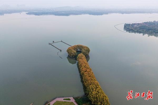 东湖里藏着一把“金钥匙”