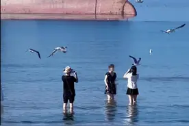 外籍货轮搁浅山东海滩近一年成网红打卡点，当地：短期内不会拖走，对环境没啥影响图片