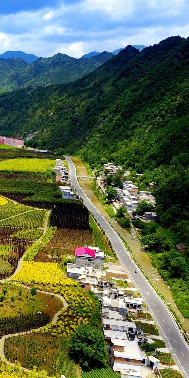 豫见两山 绿色答卷丨生态之旅——打卡“中原肺叶”栾川县