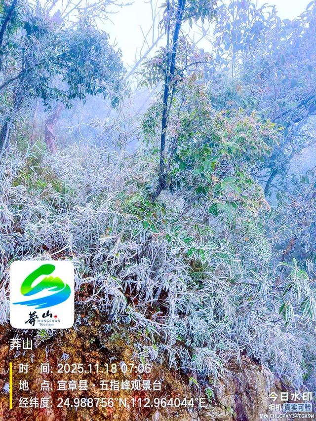 美到词穷！郴州首场雾凇惊艳上线