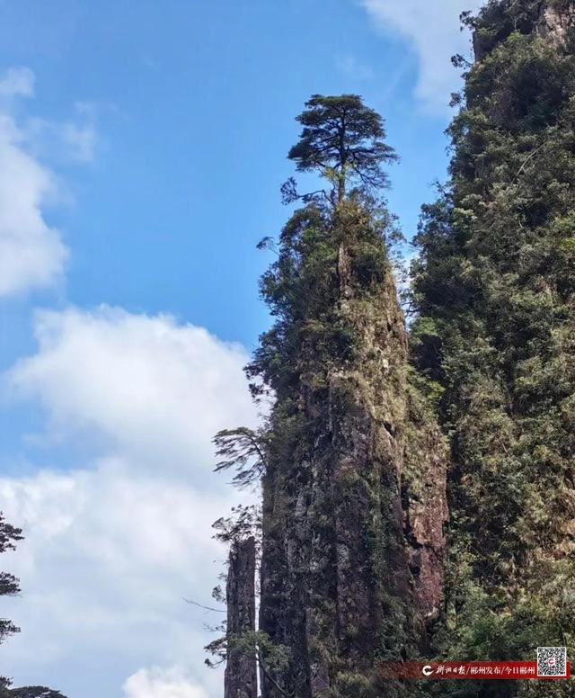 我们的节日·七夕丨有戏！大作家与莽山约会