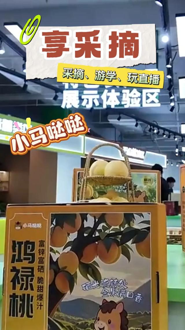 【文旅瀍河】包好逛的！瀍河这些宝藏地，每一个都值得奔赴