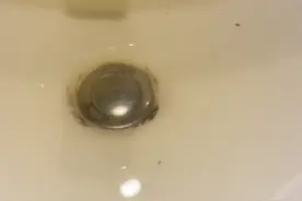 广州一小区业主投诉“自来水长期发黄”，多方回应图片