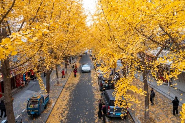 宜兴，一路斑斓！