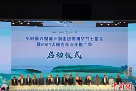 贵州毕节七星关：以太极古茶为“媒” 赋能乡村振兴图片