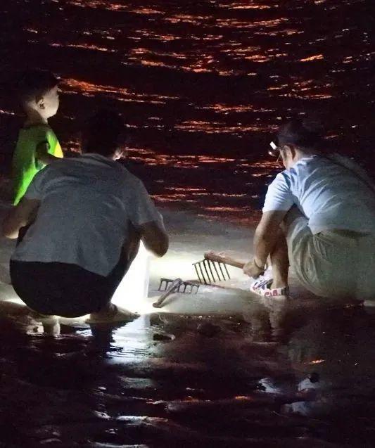 南海新区：夏夜清凉好去处 赶海烧烤舞不停