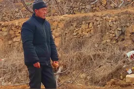 新闻8点见丨父亲的自留地；不较真春晚机器人“失误”：该有的松弛感图片