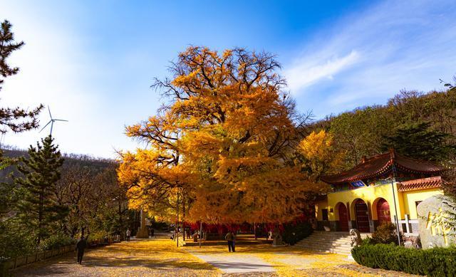 尽收山间好秋色！潍坊登山地图来啦~