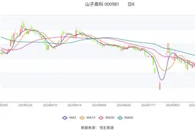 山子高科：2024年上半年亏损6.30亿元图片
