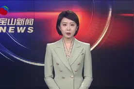 中共宝山区委常委会主题教育读书班 “读原著学原文悟原理”读书分享会召开视频封面