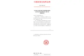 上交所终止兴业汽配首发上市审核图片