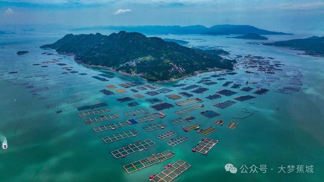 宅兹宁德 | 王君超：过去、当下和未来的对话
