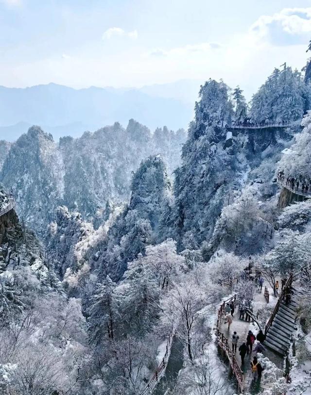 亮相央视！洛阳这些赏秋地，太美！