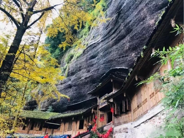 秋天必须这样耍！都江堰限定美景即将上线