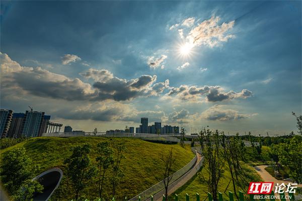 自然就在窗外！大泽湖近自然湿地公园：在城市客厅，邂逅羽翼天堂