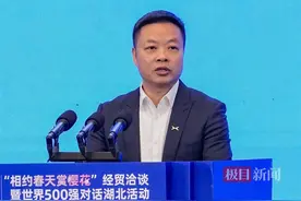 何小鹏：家乡湖北有良好的营商环境，投资潜力巨大图片