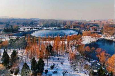 最新攻略来啦！快来坐着地铁逛公园