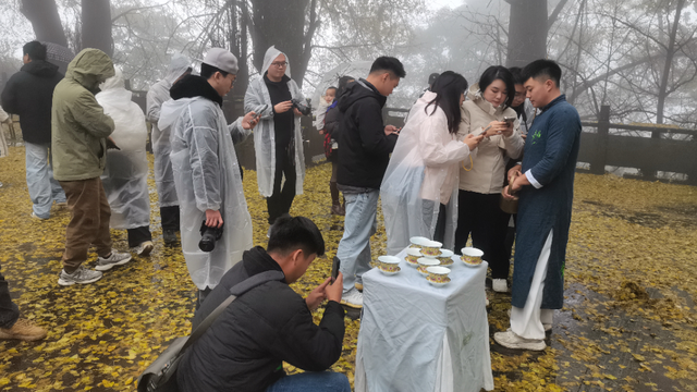 雅安市新闻战线四季度经济发展和冬季文旅主题采风组走进蒙顶山