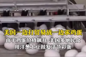 美国一边打贸易战一边求鸡蛋 由于鸡蛋价格飙升 美国多地民众 用洋葱土豆做复活节彩蛋图片