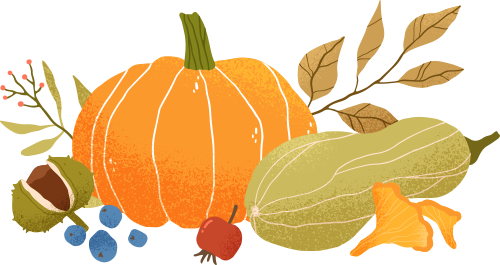 秋收分享会圆满举行！亲子组队，解锁田间趣味新体验～