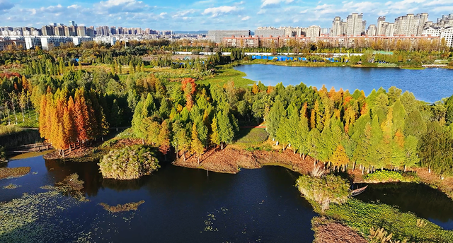 官渡街道“寻迹官渡·文润西亮”文化定向打卡体验活动举行