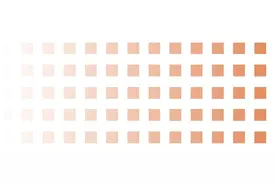 诉讼指南之诉讼代理人图片