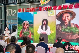 广东阳山旱地西洋菜畅销大湾区 带动村民家门口就业增收图片