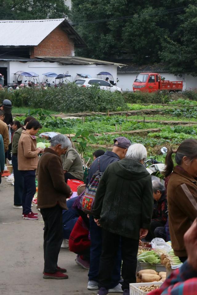 龙泉的早高峰在西河综合市场