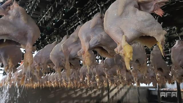 你好，小镇丨河南道口：古埠流芳