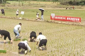 中华财险多措并举护航春耕备耕 全力服务农业强国建设图片